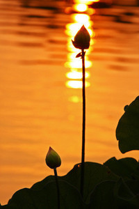 =>红队三连胜晋级，实力有余