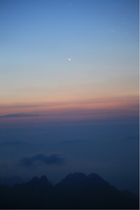 热那亚客场战平，积分榜略有提升