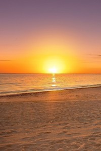 桑德兰城门将扑出绝杀，助球队战胜纽波特郡