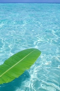 北京中赫国安力克天津天海，收获关键胜利