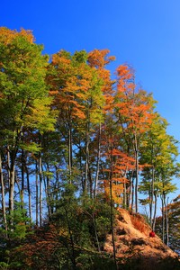 足球风云再起：场上角逐精彩纷呈，全队拼尽全力