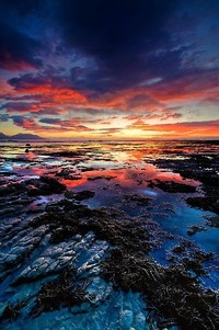 佛罗伦萨力克对手，取得胜利