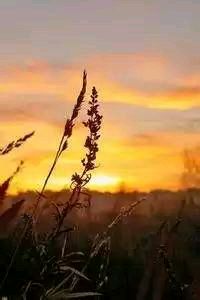 =>红队三连胜晋级，实力有余