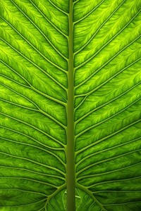 上海上港在欧冠赛中获得惊人胜利，引人关注